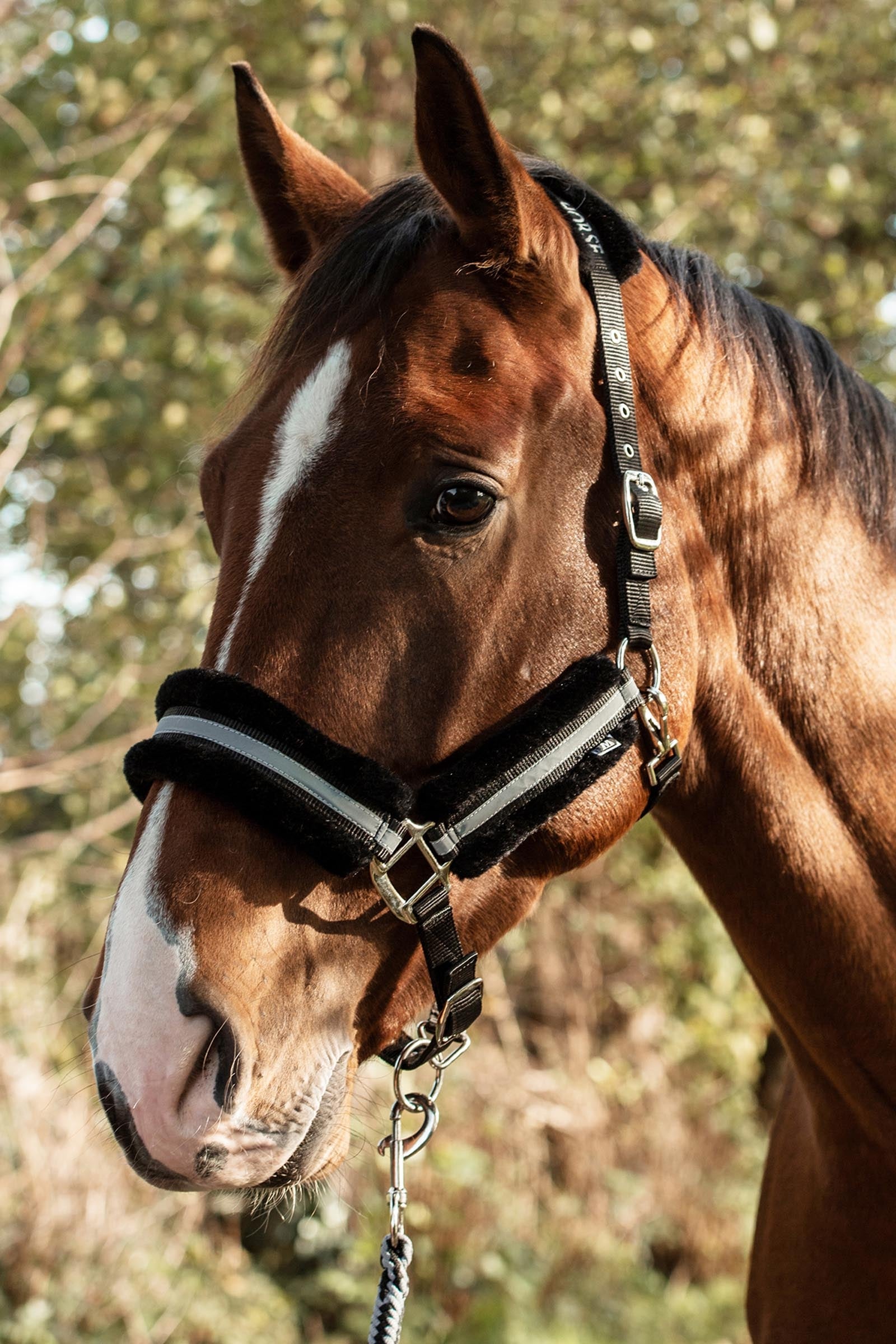 Mountain Horse Adjustable Halter With Faux Fur Cabezadas de cuadra & Ramales