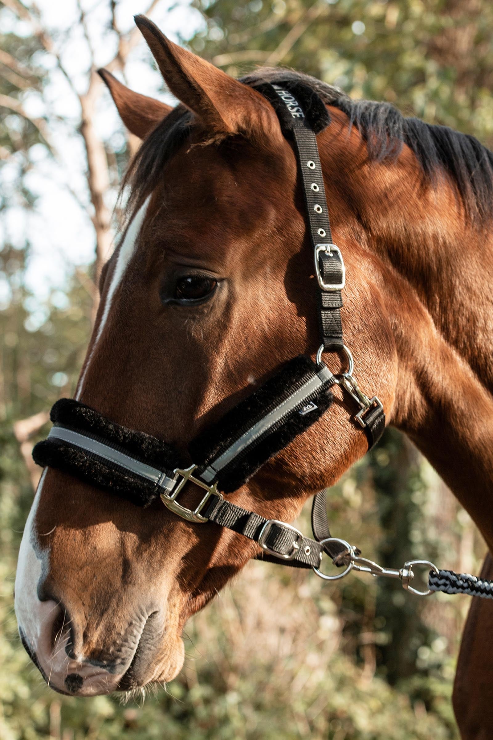 Mountain Horse Adjustable Halter With Faux Fur Halters & Leads