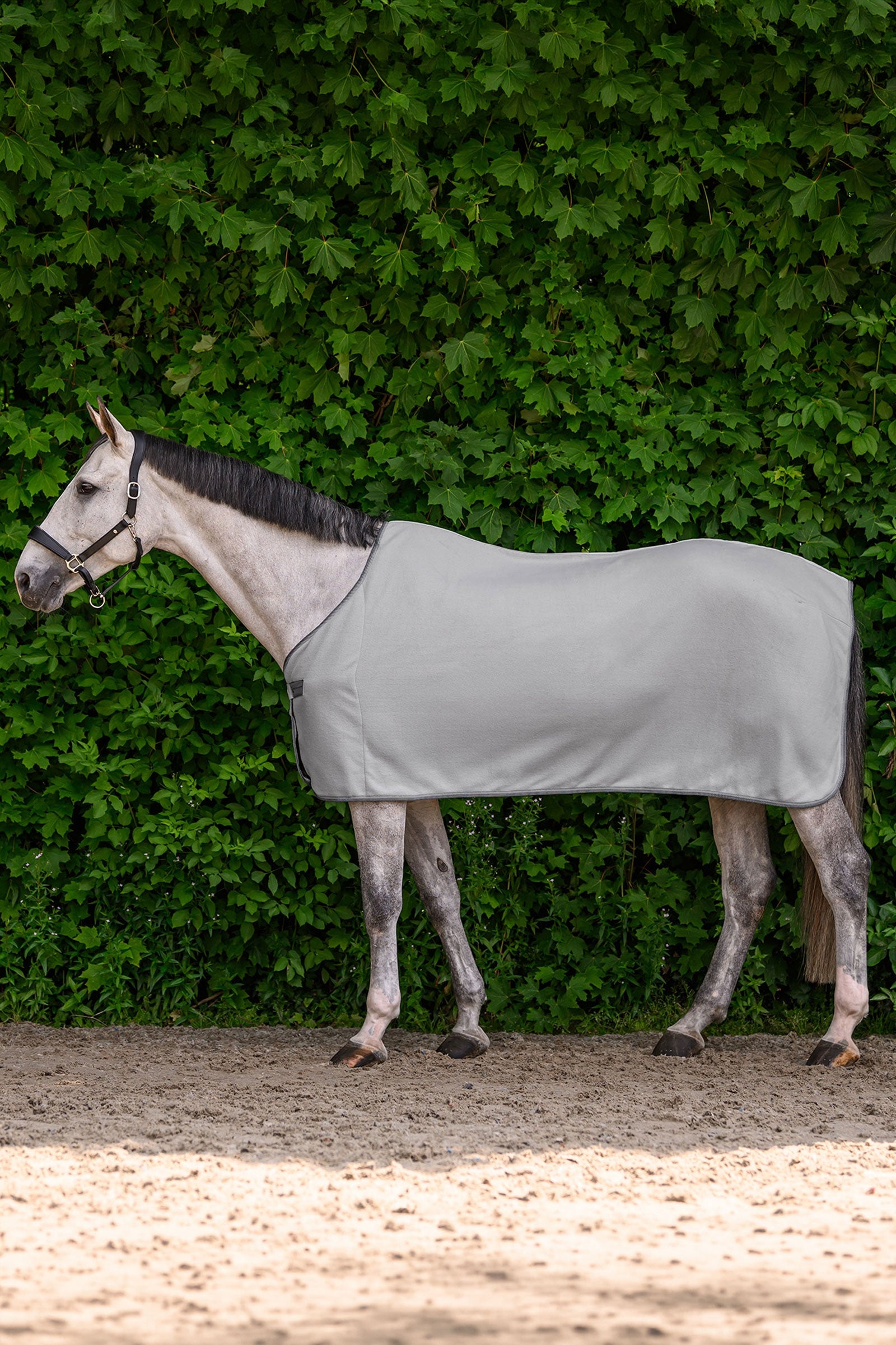 Waldhausen ECONOMIC manta polar Mantas Caballo