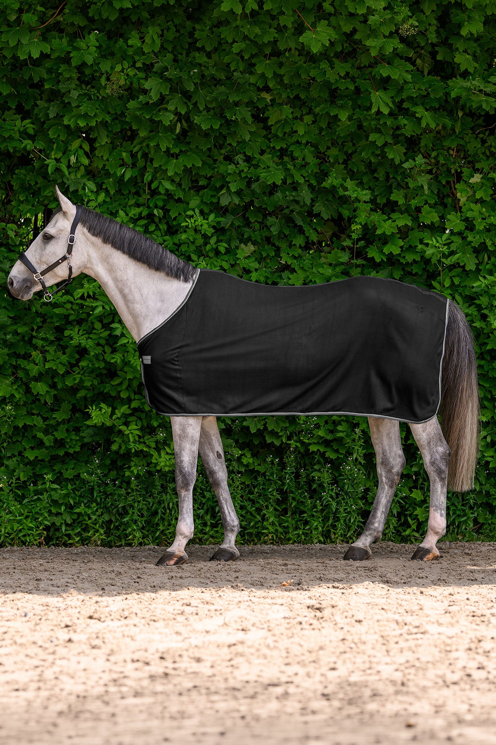 Waldhausen ECONOMIC manta polar Mantas Caballo