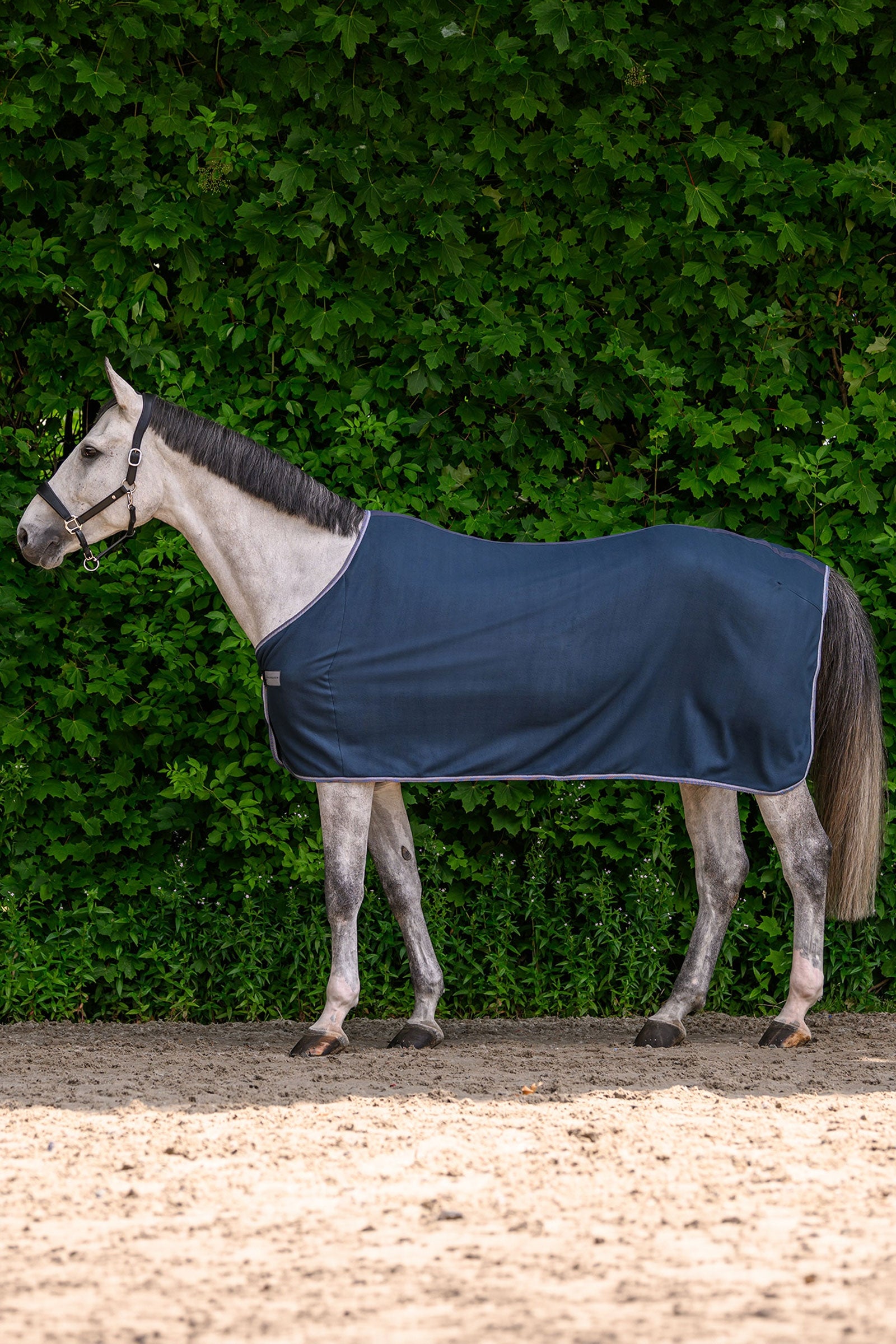 Waldhausen ECONOMIC manta polar Mantas Caballo