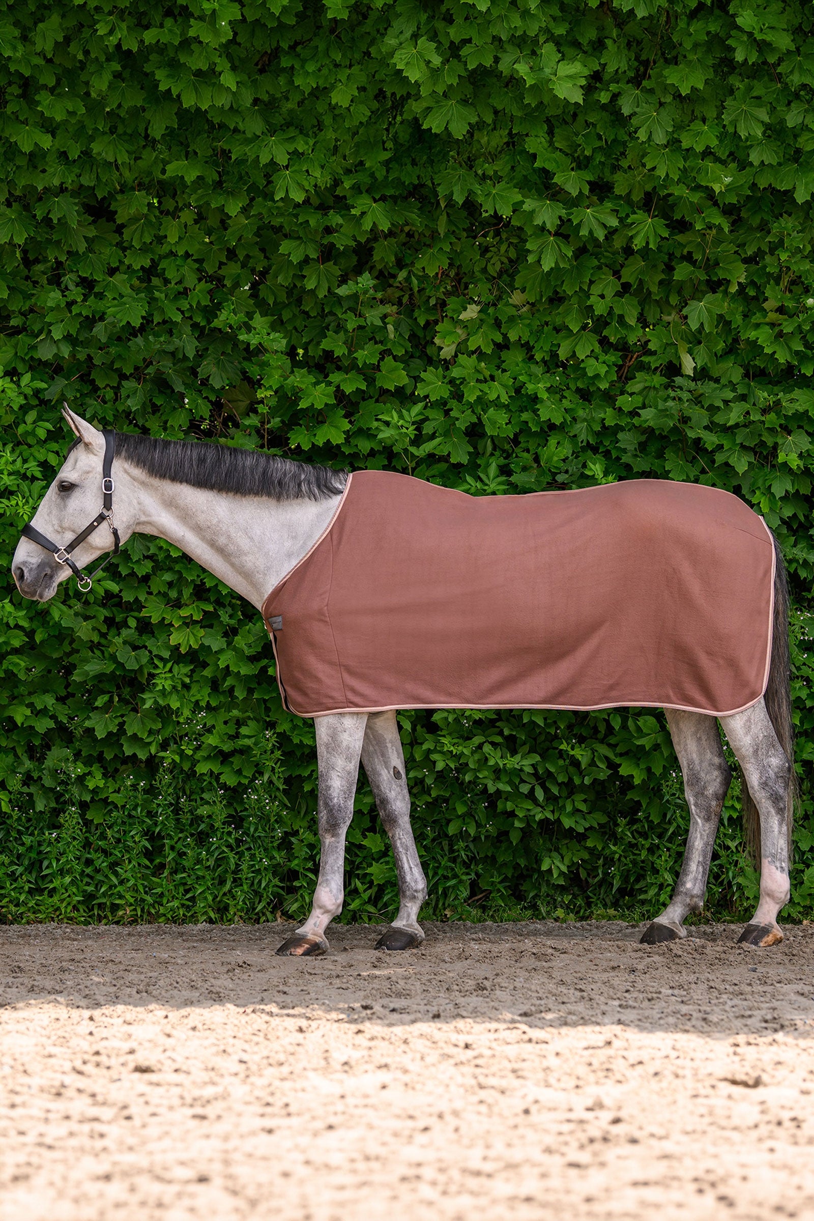 Waldhausen ECONOMIC manta polar Mantas Caballo