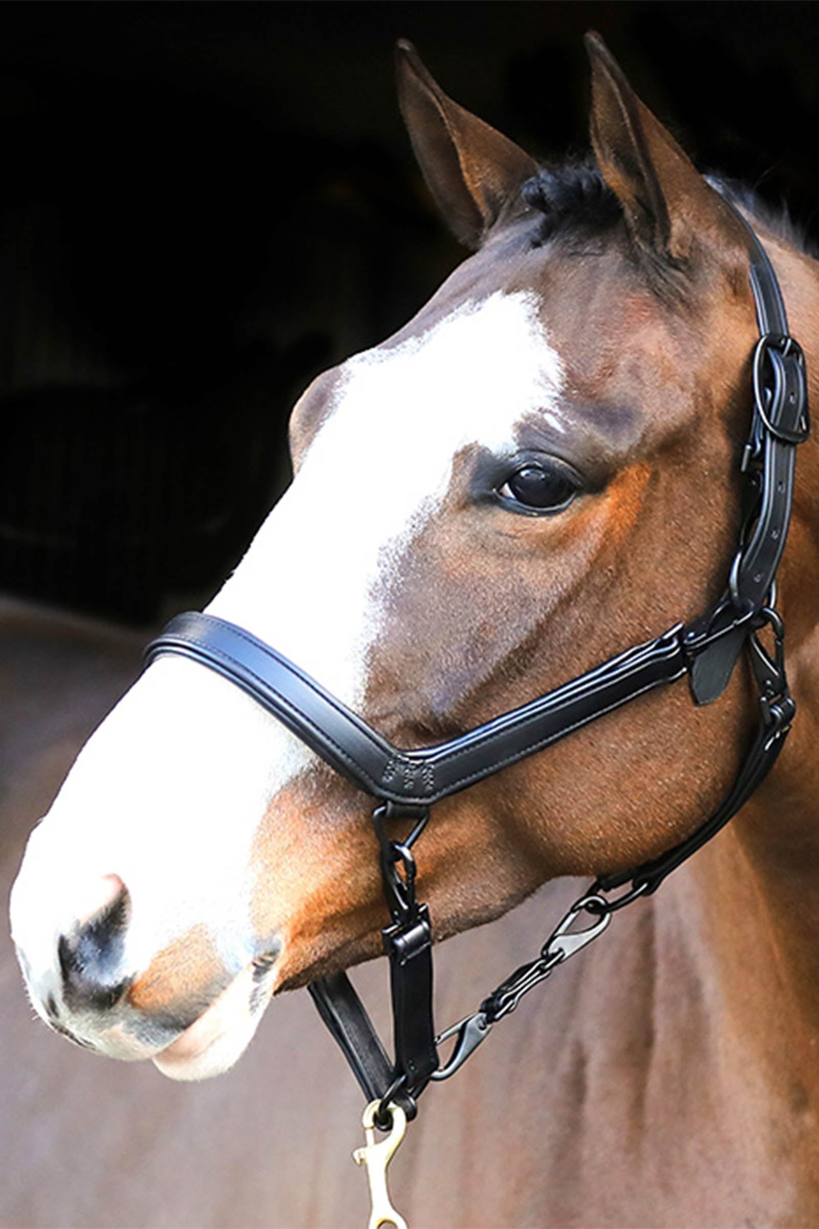 Liveryman Leather Clipping Headcollar Esquilado & Recortes