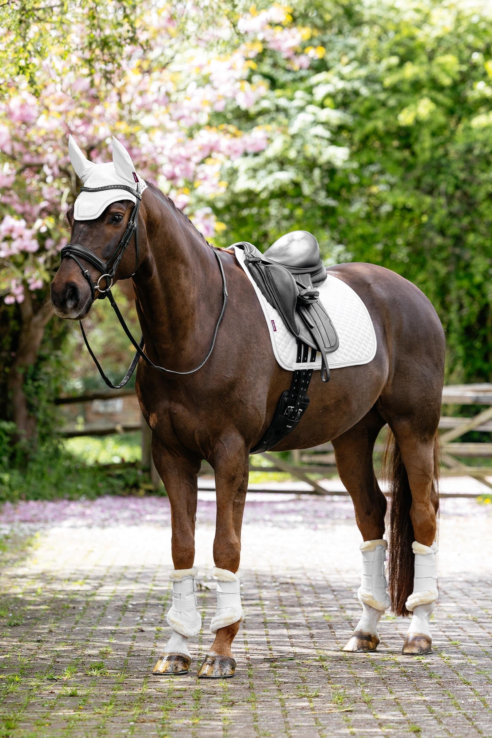 LeMieux Brilliance Fly Hood Saddle Pads