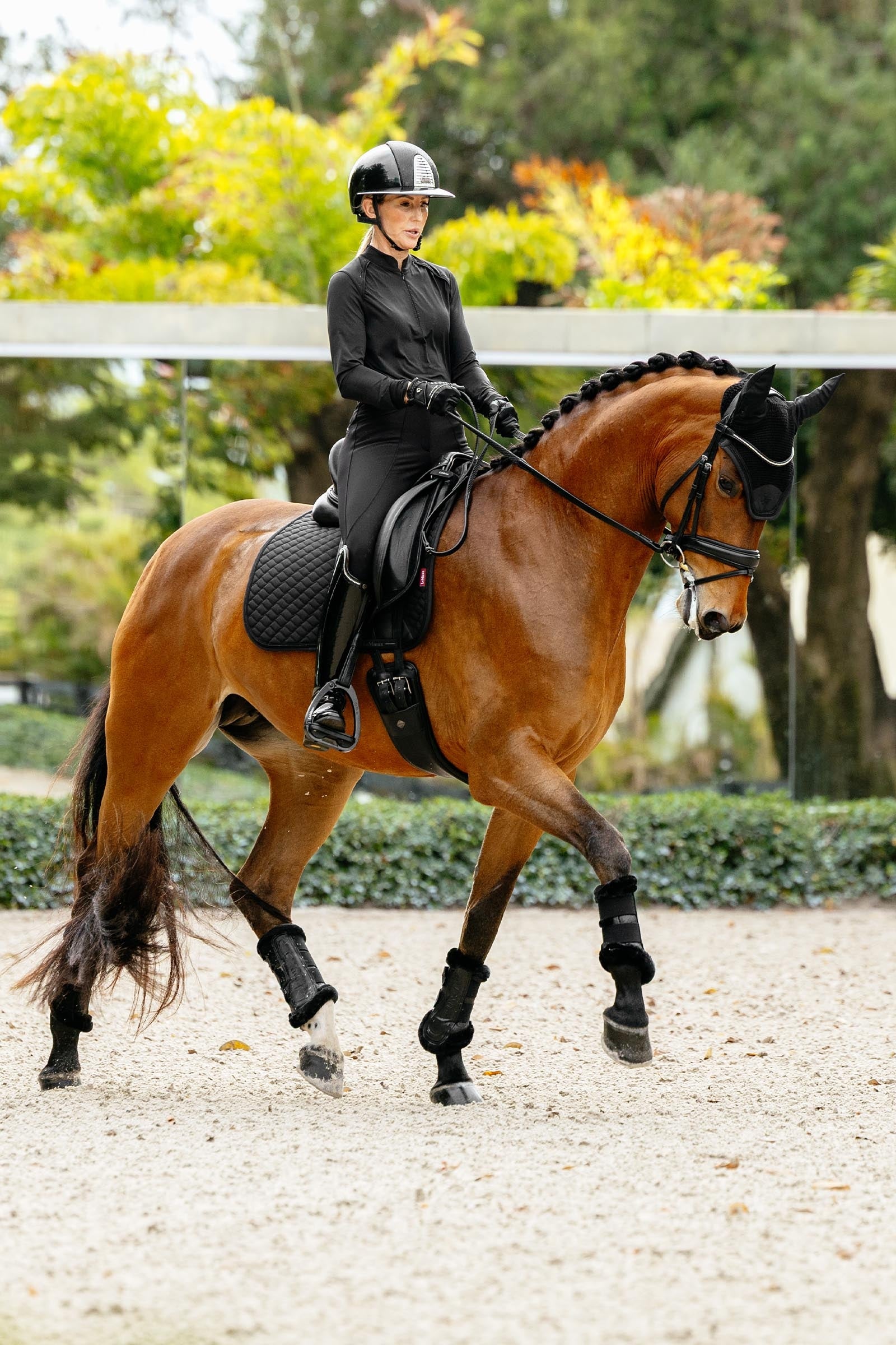 LeMieux Brilliance Fly Hood Saddle Pads