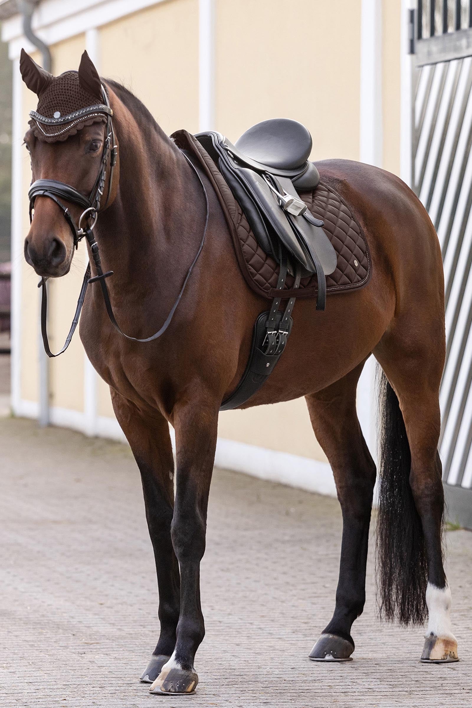 Waldhausen Nepal Dresssage Saddle Pad Saddle Pads