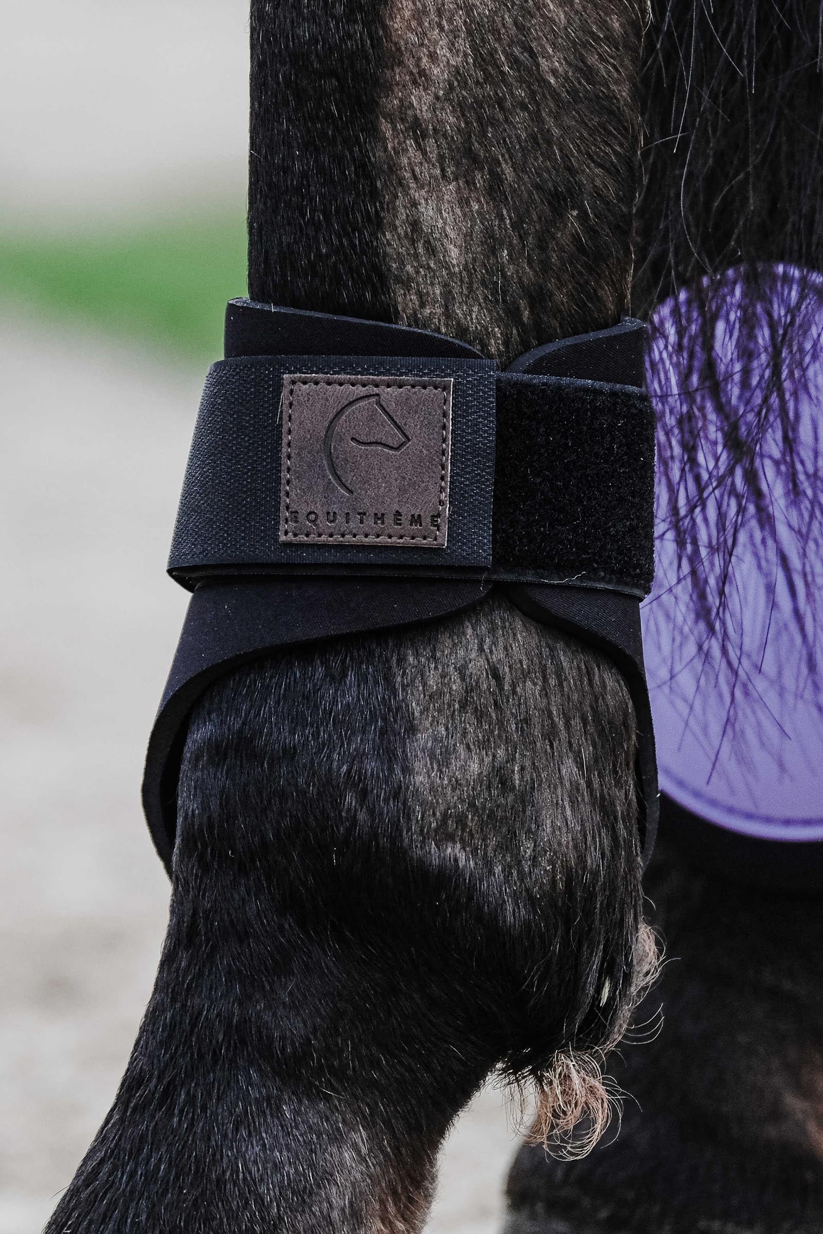 Equi Theme EQUITHÈME Tara Fetlock Boots Leg & Hoof Protection