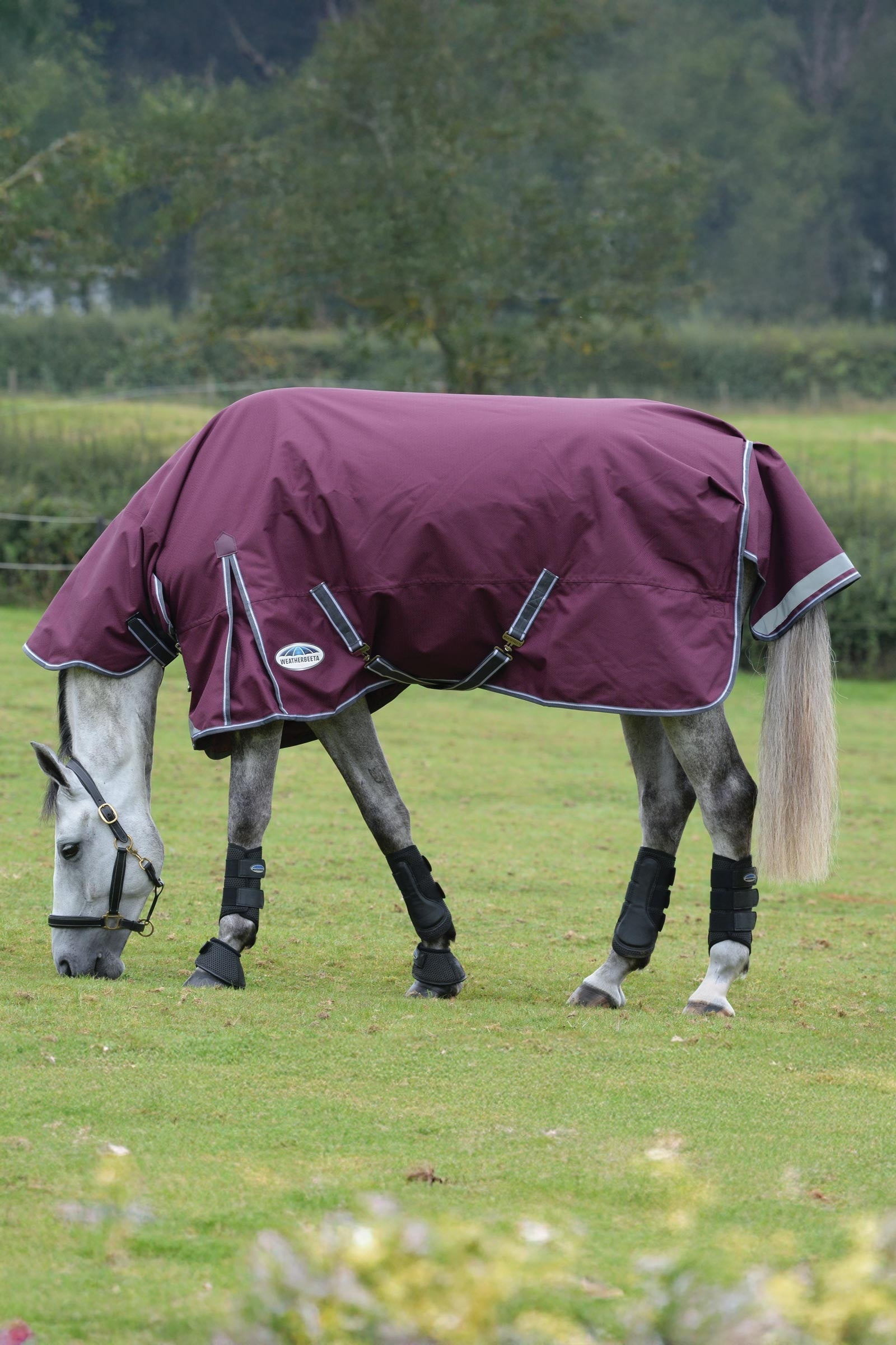 Weatherbeeta Comfitec Plus Dynamic II Turnout Rug With Fixed Neck, 100g Horse Rugs