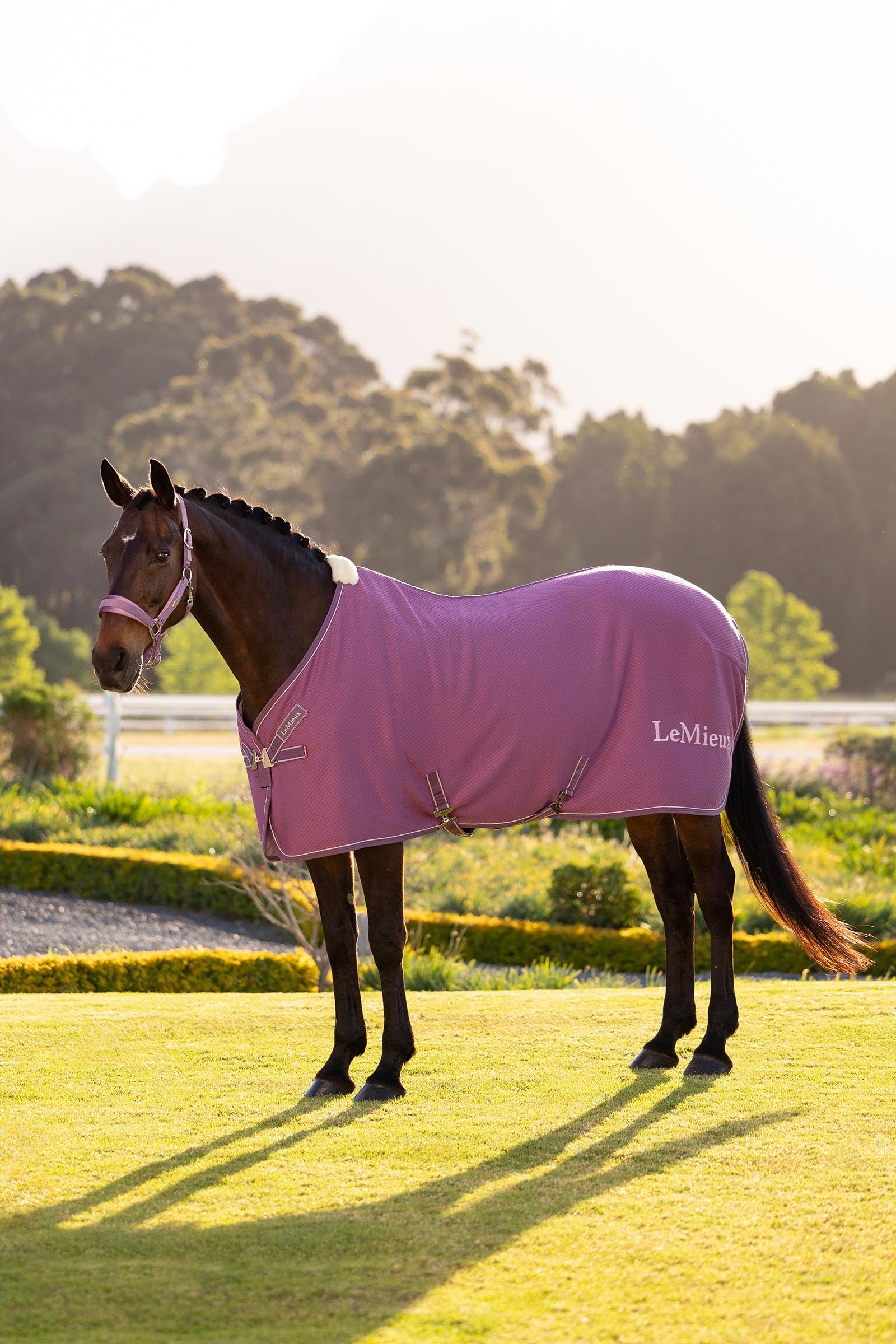 LeMieux Kudos Manta de Absorción de Bambú Mantas Caballo