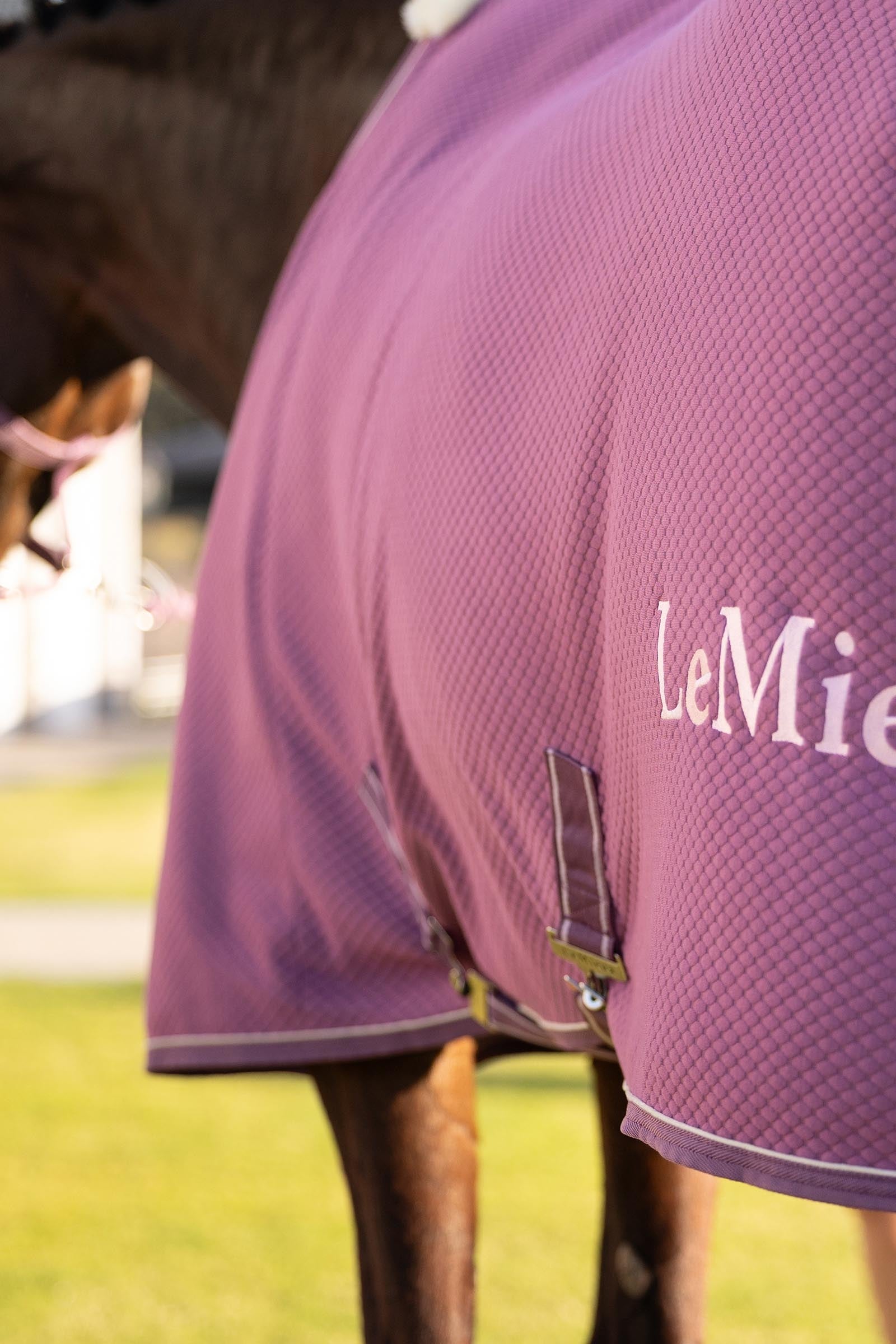 LeMieux Kudos Bamboo Cooler Horse Rugs