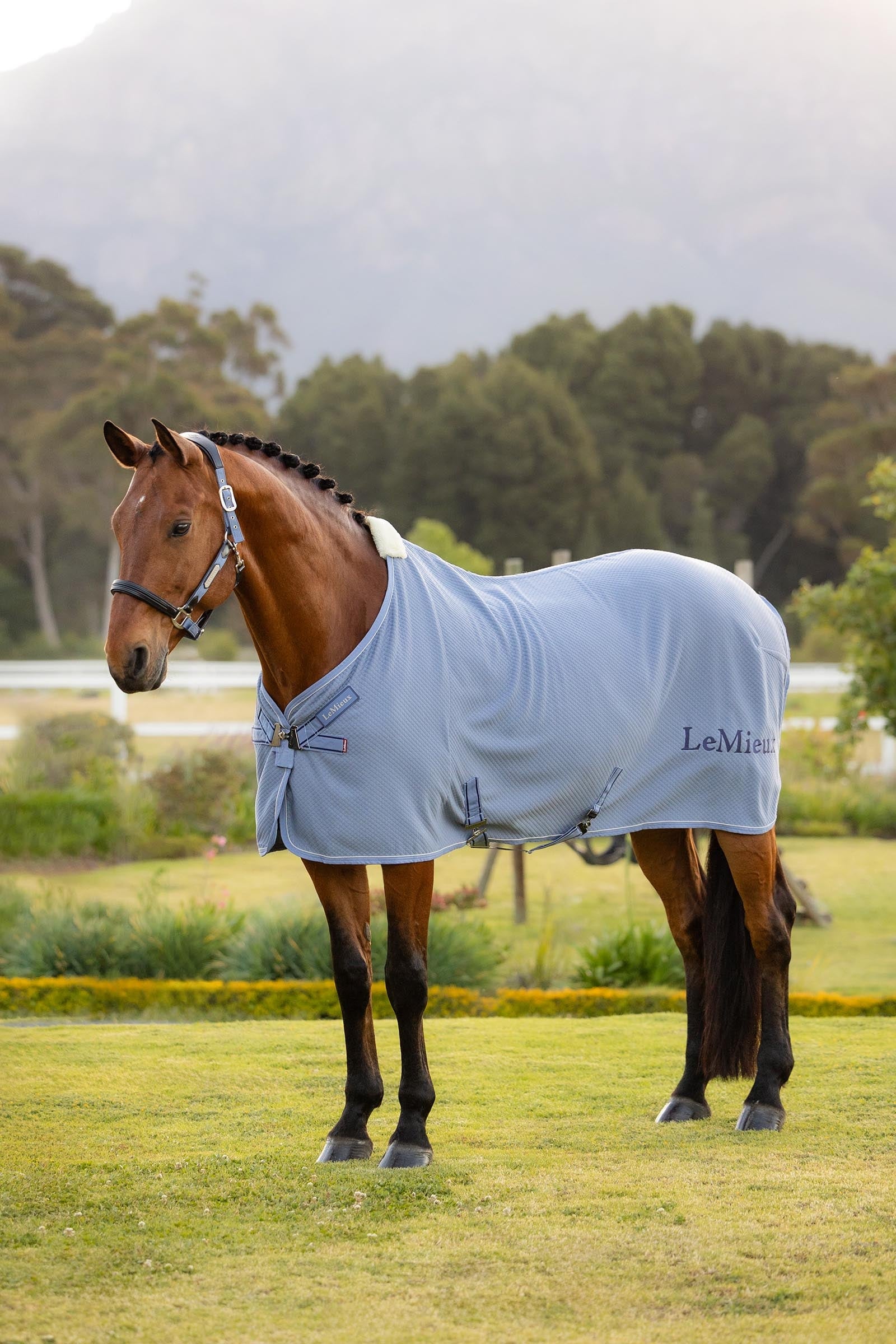 LeMieux Kudos Manta de Absorción de Bambú Mantas Caballo