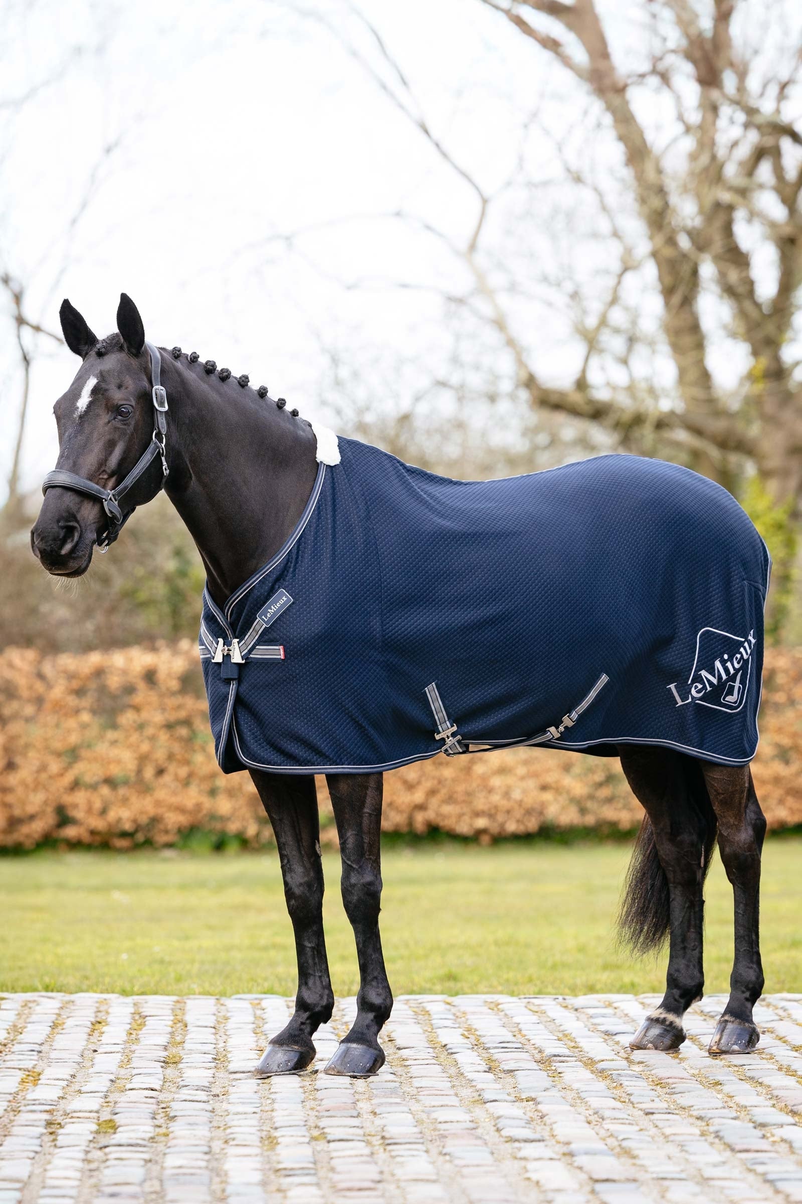 LeMieux Kudos Manta de Absorción de Bambú Mantas Caballo