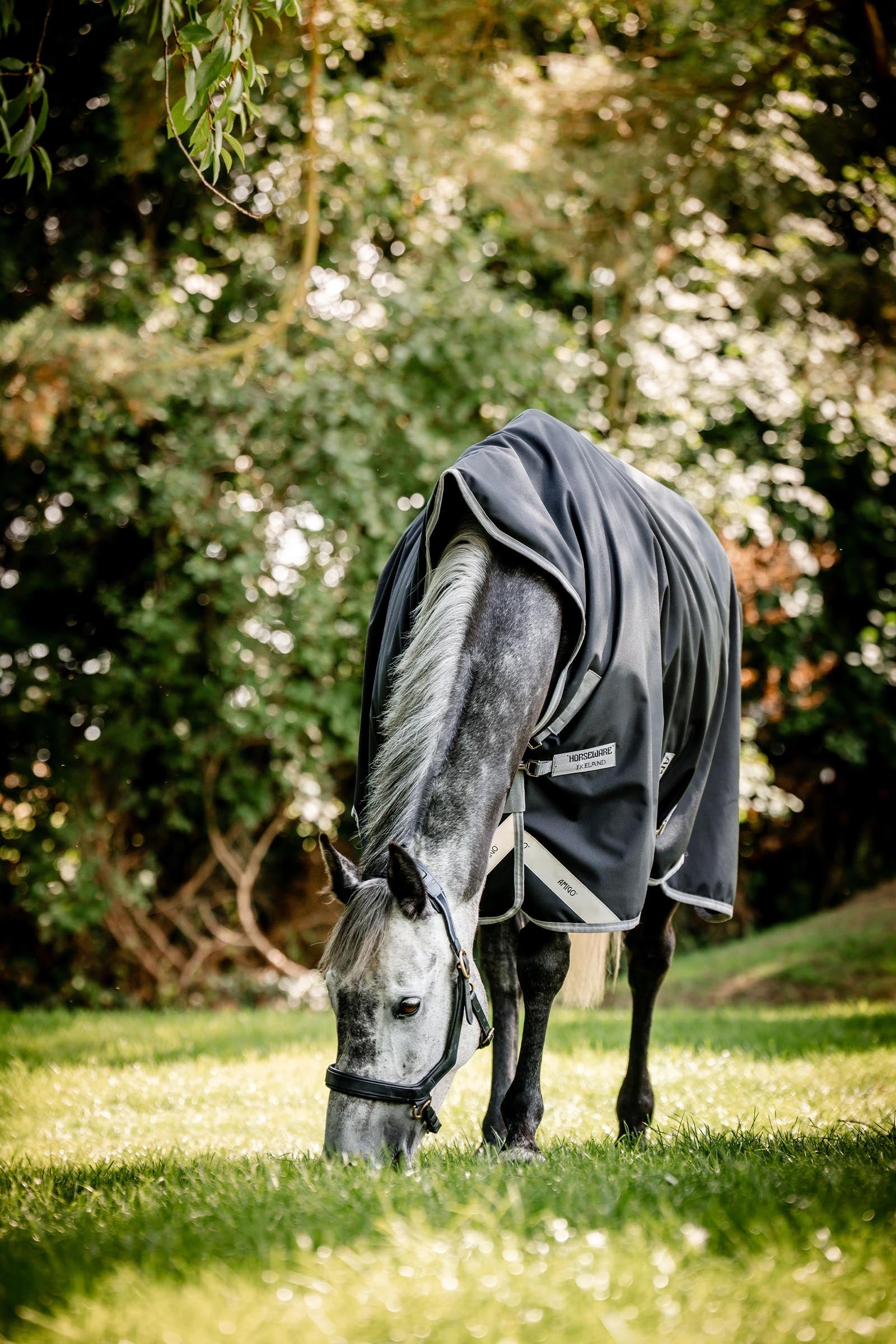 Horseware Amigo 1200D Wug Turnout 150 g Horse Rugs