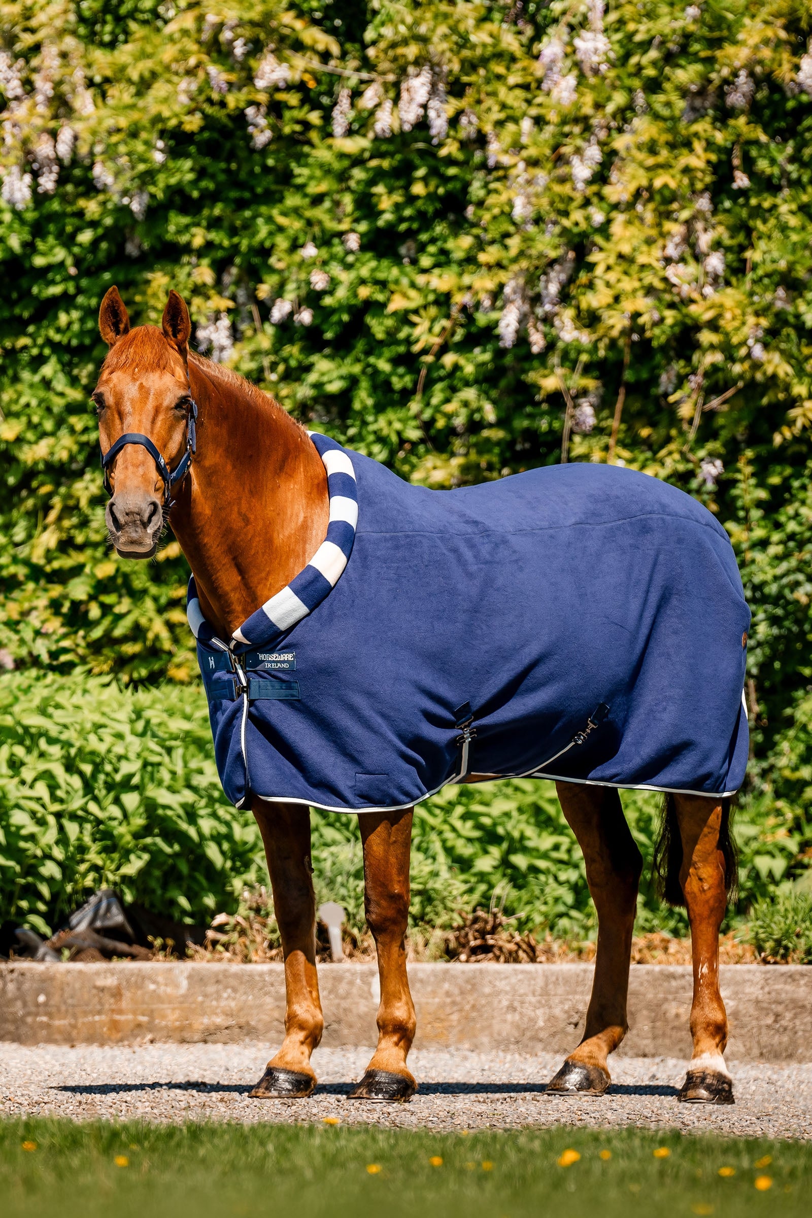 Horseware Newmarket Cosy Fleece Manta de Secado Mantas Caballo