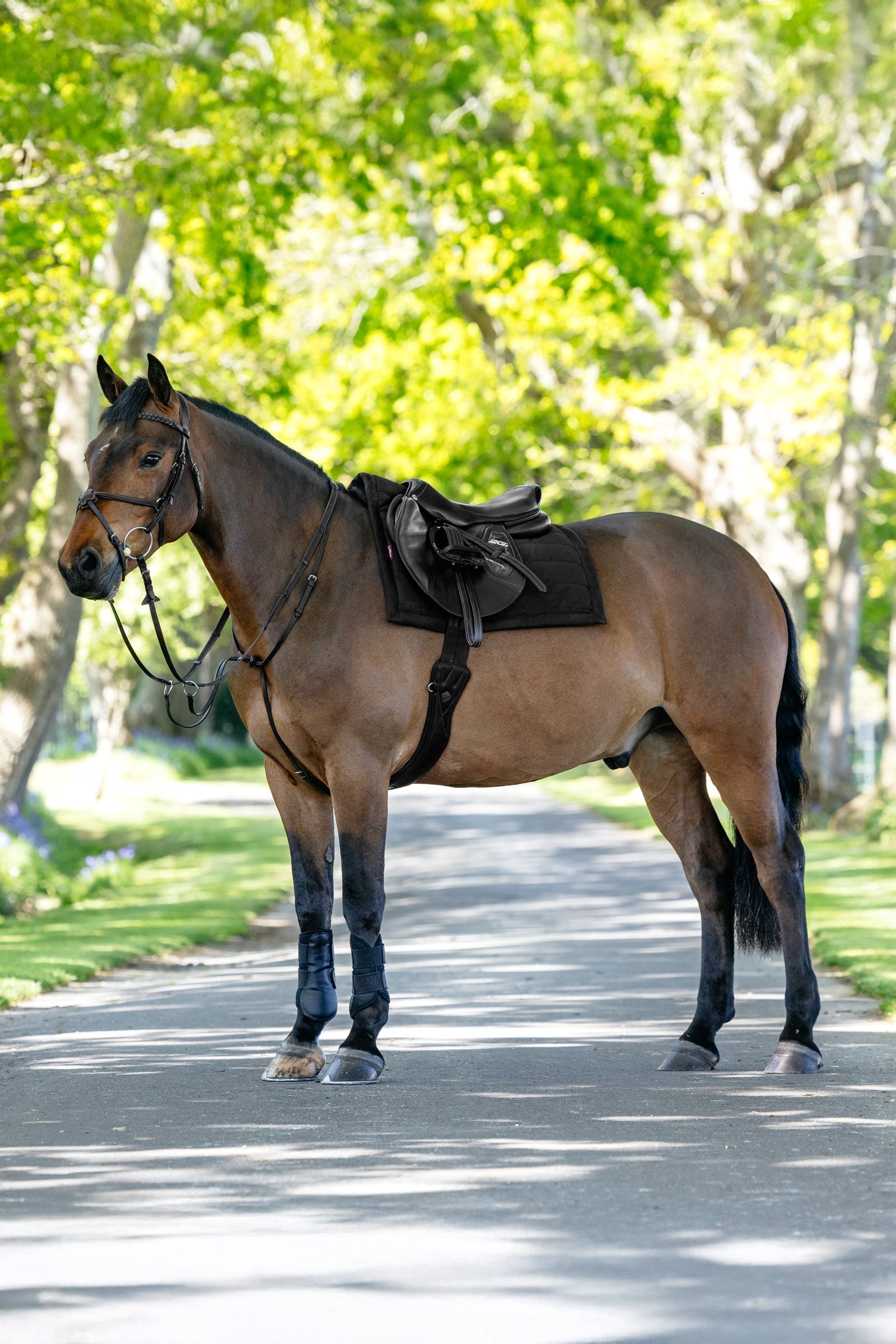 LeMieux Pillow Cushioned All Purpose Saddle Pad Saddle Pads