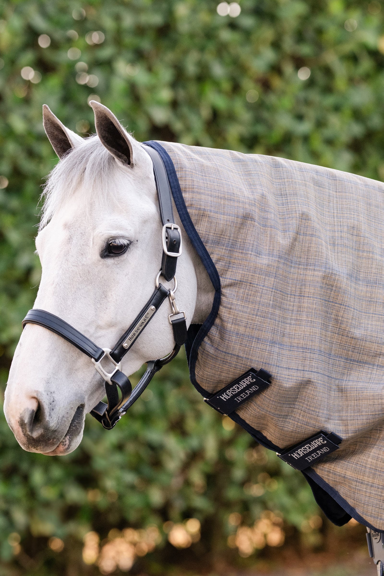 Horseware Amigo Hero 900 Revive Plus Turnout Rug With Detachable Neck, 50 g Horse Rugs